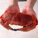 얌테이블