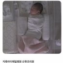 지축아이제일병원 | 지축아이제일산후조리원 2주 후기(황달 치료)