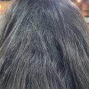 코코헤어 충남도청점 이미지