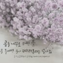 공캘리그라피 이미지