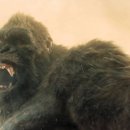 몬스터즈 이미지