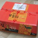 탐라귤빛 이미지