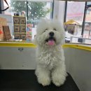 허그멍뭉이# 이미지