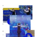 미경섬유 Daum카페