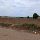 상모리-8 이미지