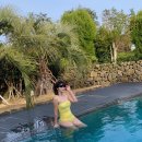 시인의뜰펜션 | 제주도 독채 펜션 두모산책 / 24시간 온수풀 수영장 있는 풀빌라 후기