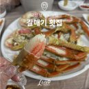 고성횟집 | 고성 델피노 맛집 갈매기 횟집 내돈내산 후기