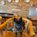 캐슬풀리조트 이미지