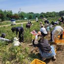 한명농장 이미지