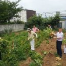 서부동 주민센터 이미지