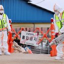 일파만파농장 이미지