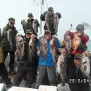 바로돼지 이미지