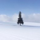 스마트 골프연습장 이미지