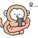 제주거멍돗 이미지