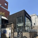 커피빈대학로마로니에점 | <커피빈 대학로마로니에점> 서울 종로구 동숭동 봄 신메뉴 나주 배 청포도 아이스 블렌디드 마시고 온 후기