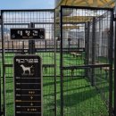 면목동-222 이미지