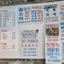 낙지정