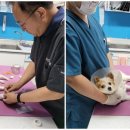 티지메디칼 이미지