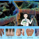 유로성형외과의원 이미지