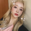 드 케이 이미지
