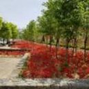 대전도시철도공사 신흥역 이미지