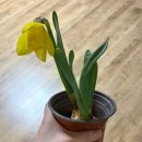 [대학생 일상] 막학기생이 소소한 행복을 확보하는 방법🍀| 뒤죽박죽 소확행 모음.zip