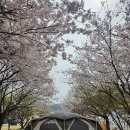 씨밀레자연관광농원