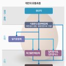 우리계란