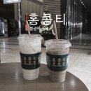 커피특별시 인동점 | 불광역 카페 홍콩티ㅣ정통 홍콩식 밀크티와 음료 맛집! NC불광점 카페