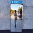 보랏빛민박 | 동해 묵호 혼자여행 볼거리 논골담길 관광지