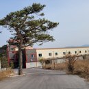 쿨쿨무인텔 이미지