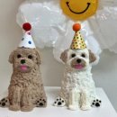 개맛있개 이미지