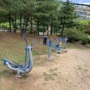 일동라스베가스 공원 이미지