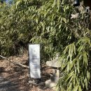 아침에 새소리 | 판교 근처 드라이브 한옥 카페 새소리물소리