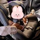 용인시 육아종합지원센터 1년 넘게 이용한 솔직 후기 | 장난감도서관, 꼼지락자람터, 시간제보육