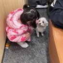살롱 드 셀린