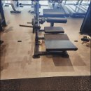 마인드휘트니스 이미지