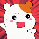 이지드림 이미지