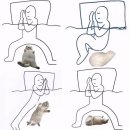 고양이집사 이미지