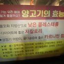 마선생마제