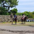 탐라승마장 | 제주투어패스 승마체험 탐라승마장 말타기 사진촬영 구매 후기