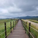 웰빙한우 이미지