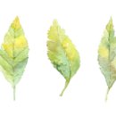 고속터미널투다리 이미지