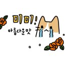 닌자고쿠시 이미지