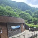 에코야영장 | 치악산 금대야영장 2박3일 후기 (19번 사이트 )