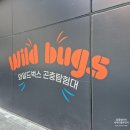 대원어린이공원 | 월미도 아이랑 가볼만한곳 와일드벅스 곤충탐험대 곤충체험 다녀온 후기