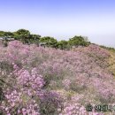 선경주유소 이미지