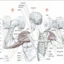 엔젤헬스장 이미지