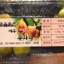 김학봉 농장 네이버블로그