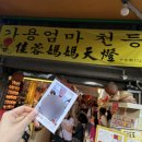 1일 투어 / 마이이리얼트립 버스투어 후기 / 버스투어 (예루+스펀폭포+스펀+지우펀+야경) / 가성비 투어...